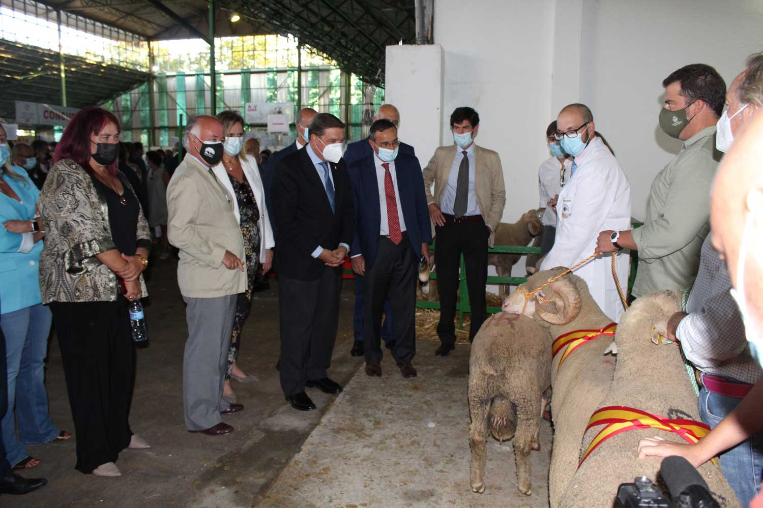 Raza Merina - convención raza merina