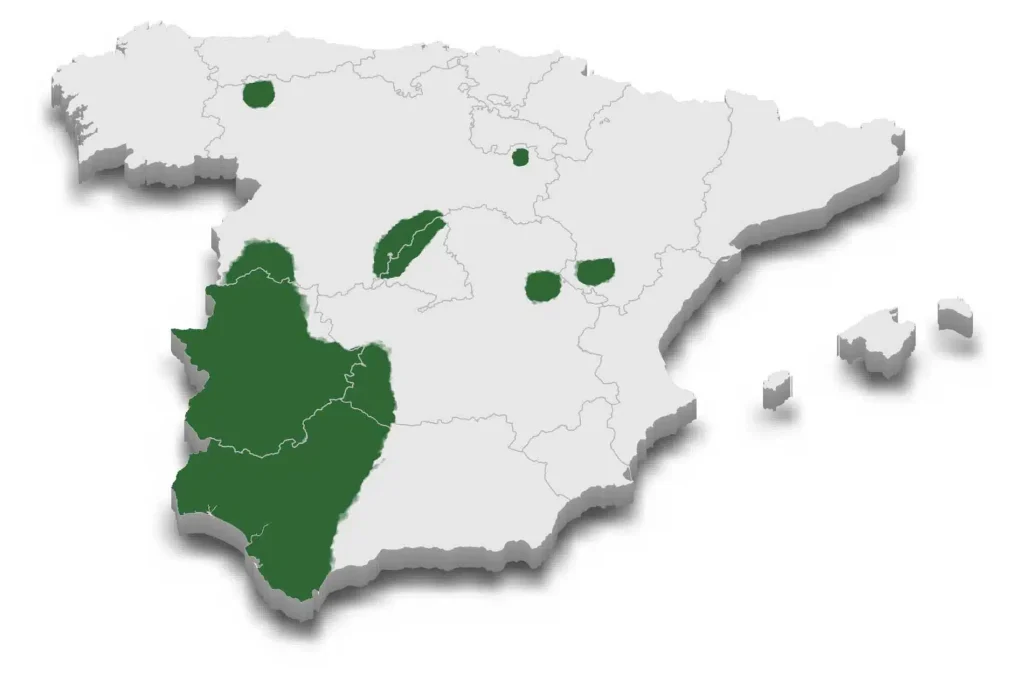 Raza Merina - mapa de sectores de raza merina en España