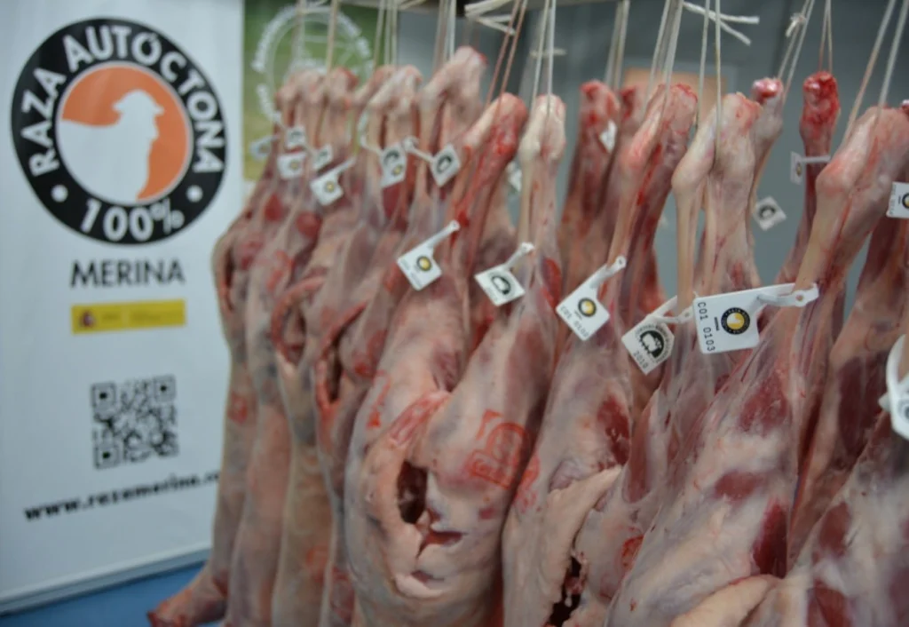 Raza Merina - Sala de despiece